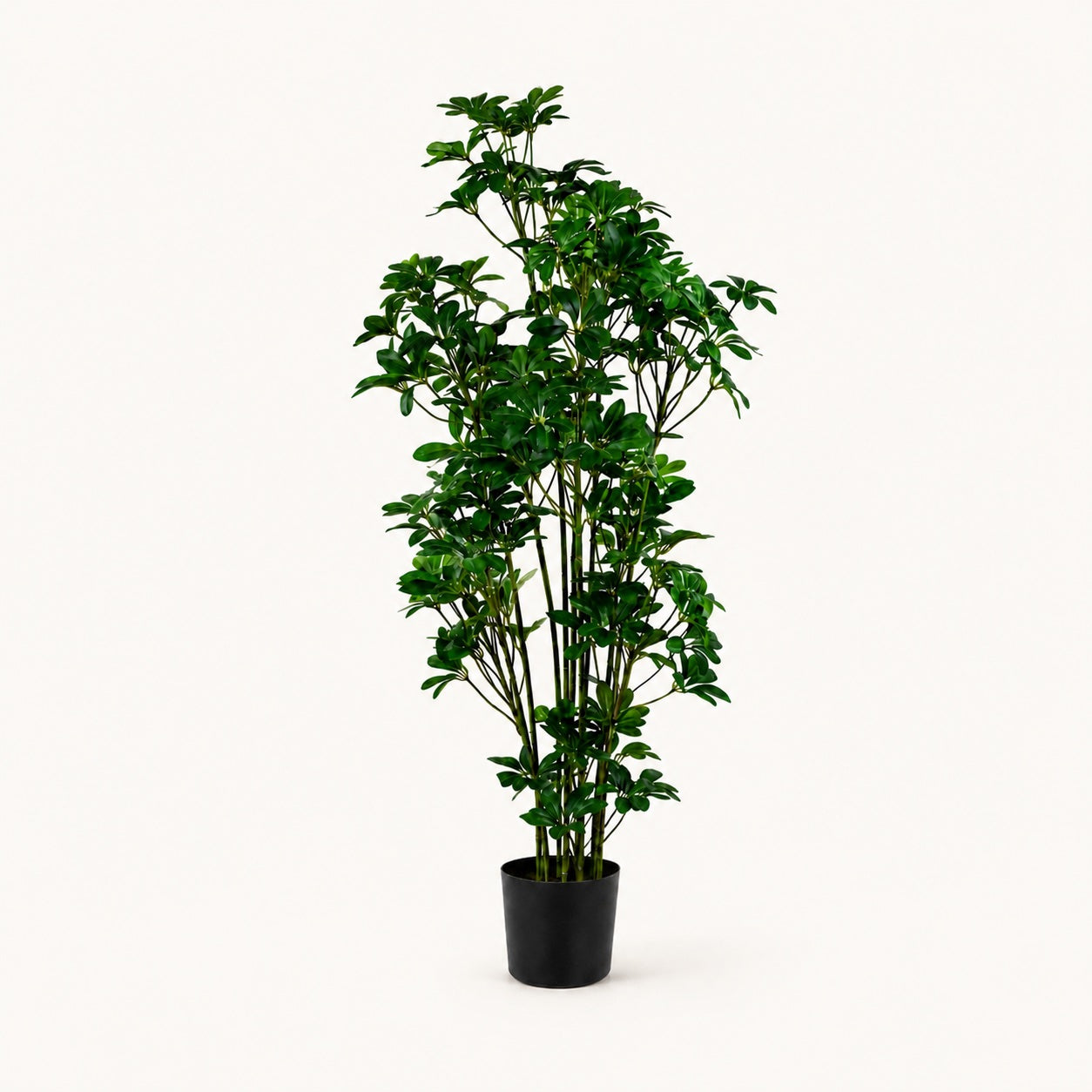 Árbol artificial Schefflera