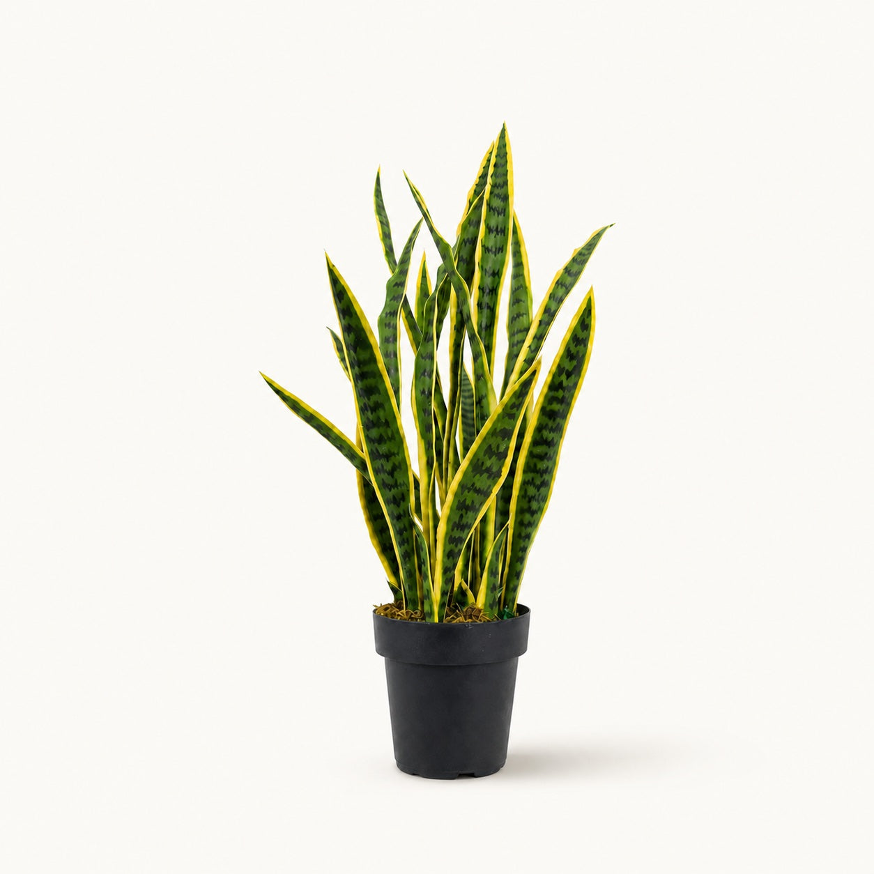 Planta artificial Sansevieria