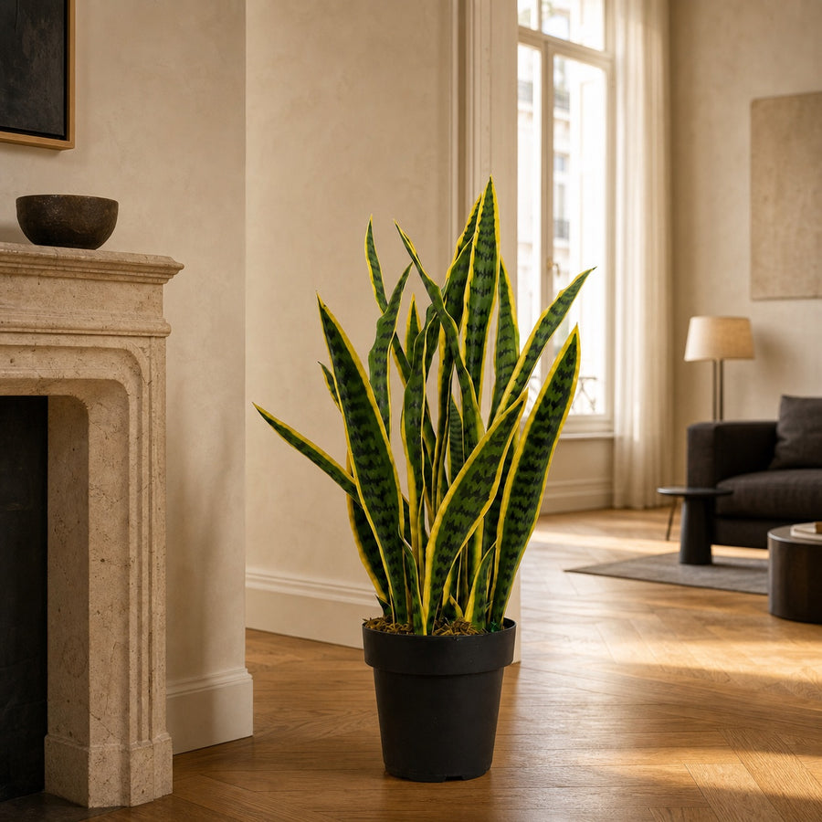 Plante artificielle Sansevière