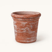 Tonneau Garden Barrel Planter