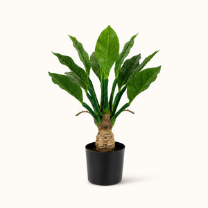 Plante tropicale artificielle