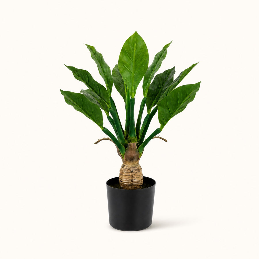 Plante tropicale artificielle