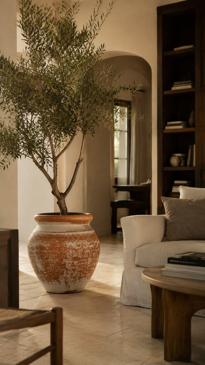 In real interiors — Planters & Pots