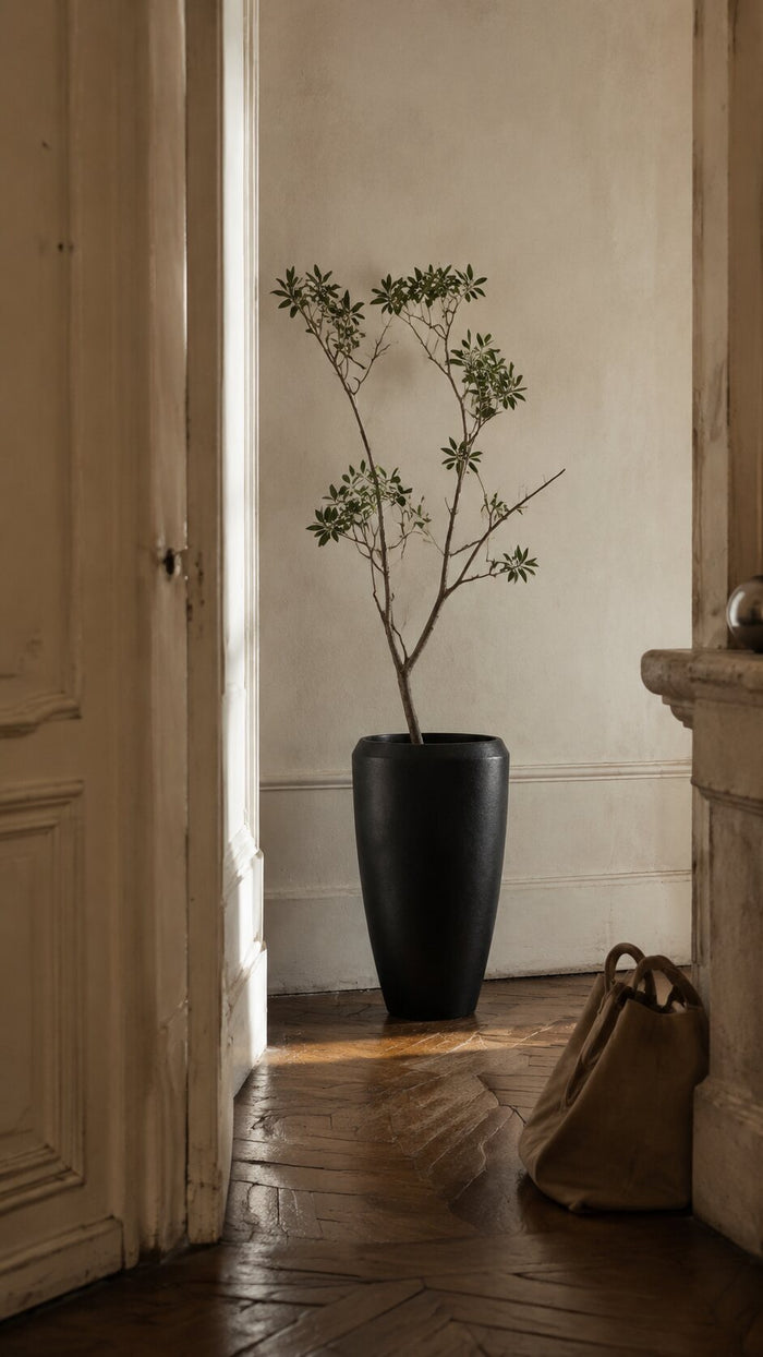 In real interiors — Planters & Pots